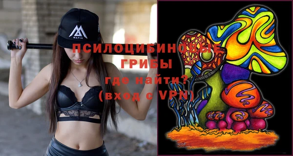 экстази Няндома
