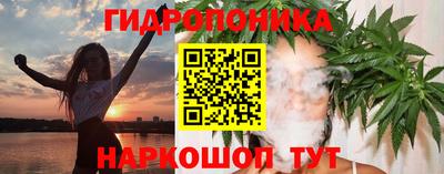 СК Абинск