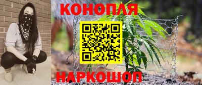 спиды Бийск