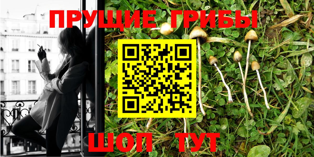 Псилоцибиновые грибы Psilocybine cubensis Обнинск
